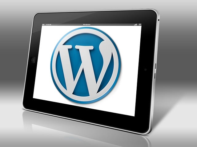Wordpress logo op een schrem